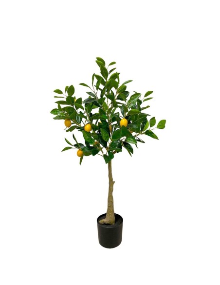 ÁRBOL LIMÓN, 180 H.+12 LIM. 105cm