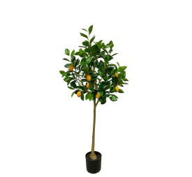 ÁRBOL LIMÓN, 240 H.+16 LIM. 125cm