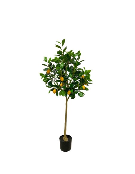 ÁRBOL LIMÓN, 240 H.+16 LIM. 125cm
