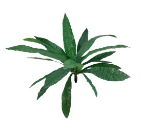 PLANTA LECHUGA X18 194/18