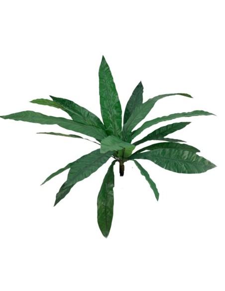 PLANTA LECHUGA X18 194/18