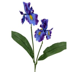 IRIS X2 POLISTER LILA 62cm(11cm)