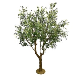 ÁRBOL OLIVO C/FRUTOS, 250cm
