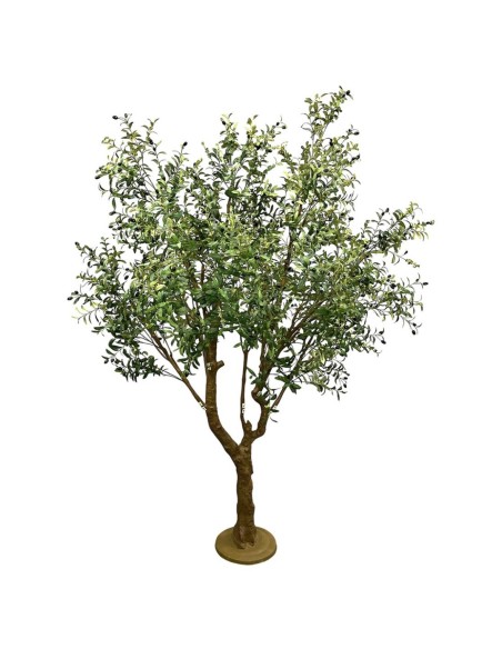 ÁRBOL OLIVO C/FRUTOS, 250cm