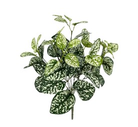 PLANTA HYPOESTE X7 TACT.NATUR., 43cm