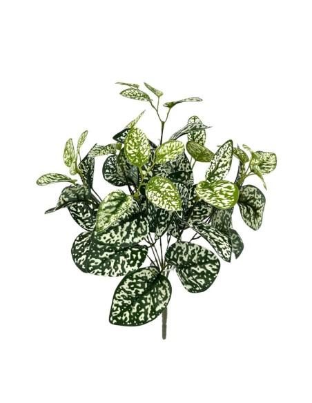 PLANTA HYPOESTE X7 TACT.NATUR., 43cm