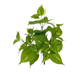 PLANTA POTO X6 TACT.NATUR, 40cm