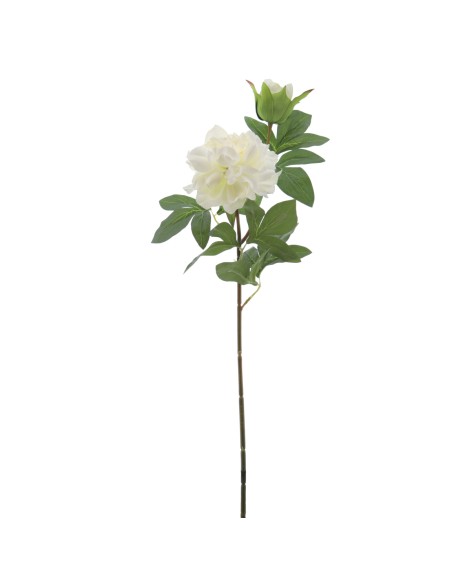 PEONIA X 2 66 CMS (2501-01)