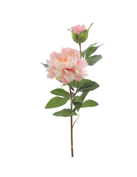 PEONIA X 2 66 CMS (2501-12)
