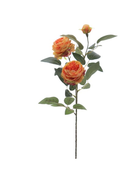 ROSA AUSTIN X 3 70 CMS (4503-15)