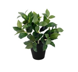 PLANTA LAUREL X72 C/MACETERO (G528-1M)