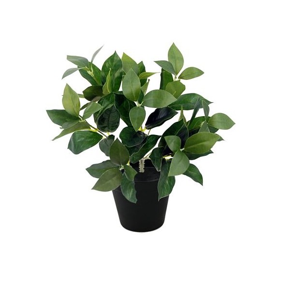 PLANTA LAUREL X72 C/MACETERO (G528-1M)