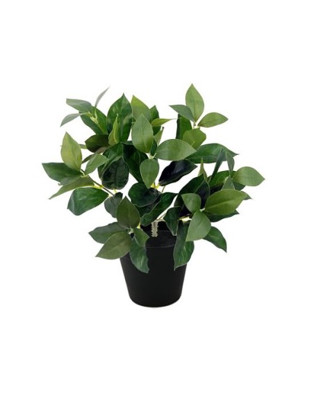 PLANTA LAUREL X72 C/MACETERO (G528-1M)
