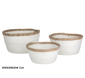 SET 3 CESTAS LION 26X14