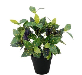 PLANTA MARIALINDA X88 C/MACETE (G529-1M)