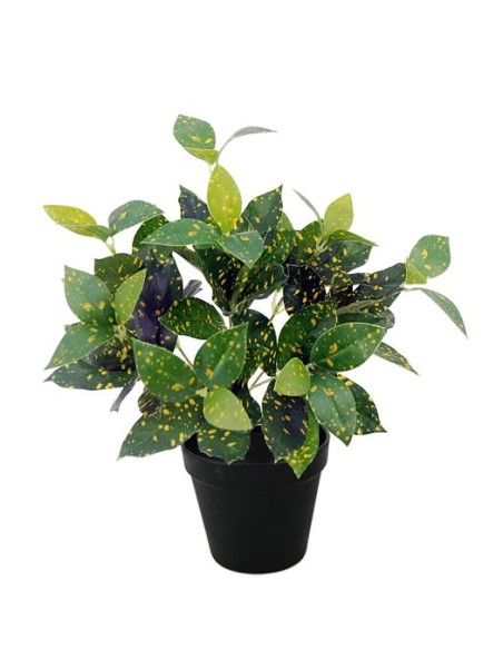 PLANTA MARIALINDA X88 C/MACETE (G529-1M)