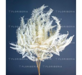 HELECHO SEAGUL GIGANTE PRESS. 78 CMS.BLANCO (00)