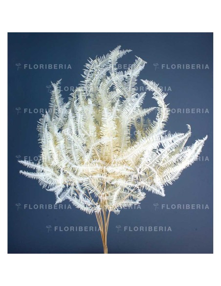 HELECHO SEAGUL GIGANTE PRESS. 78 CMS.BLANCO (00)