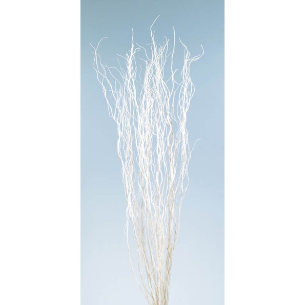 SALIX 100 cms. BLANCO (00)