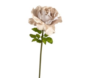 ROSA TERCIOPELO CHAMPAN D50 H136