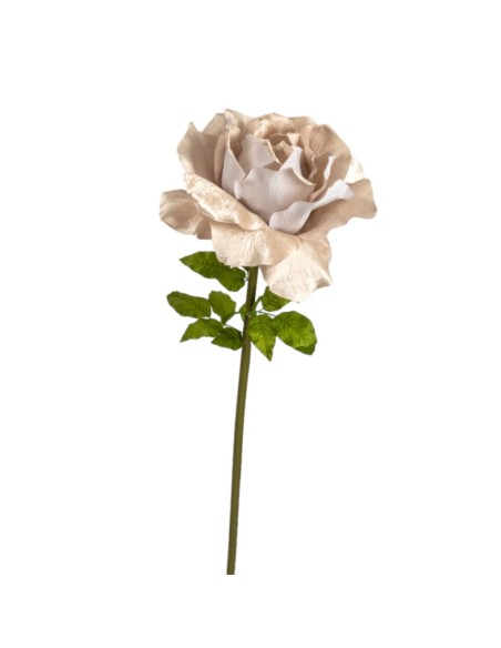 ROSA TERCIOPELO CHAMPAN D50 H136