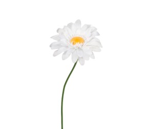 GERBERA POLIESTER BLANCO D50 H125