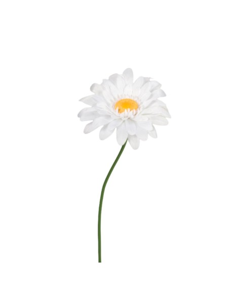 GERBERA POLIESTER BLANCO D50 H125