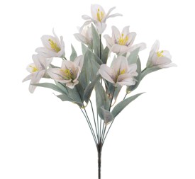 RAMO LILIUM (8575-01)