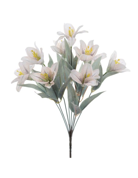 RAMO LILIUM (8575-01)