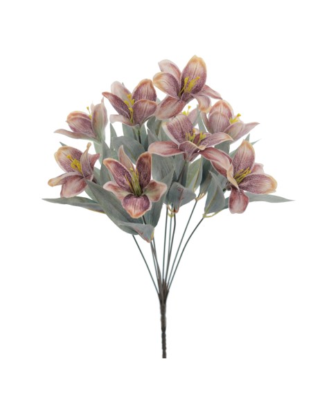 RAMO LILIUM (8575-51)
