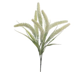 TRITICUM (6301-01)