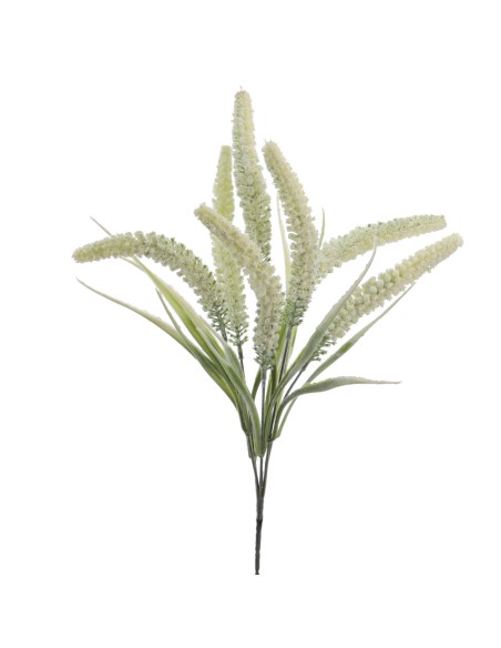 TRITICUM 45 CMS (6301-01)