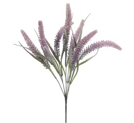 TRITICUM 45 CMS (6301-06)