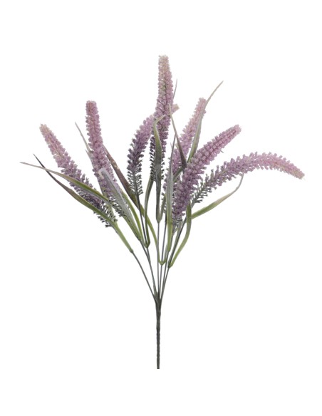 TRITICUM 45 CMS (6301-06)