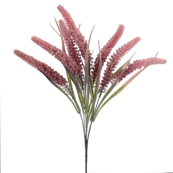 TRITICUM 45 CMS (6301-12)