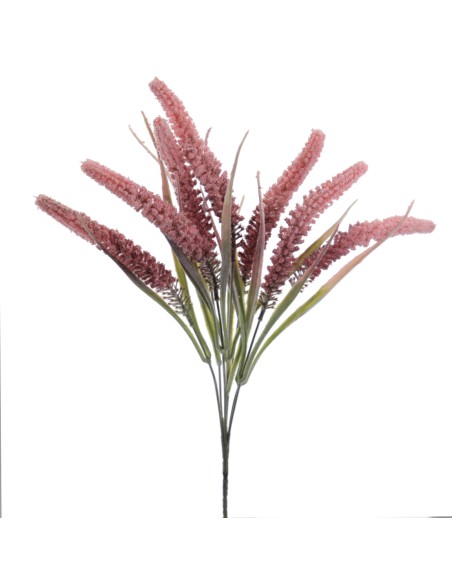 TRITICUM 45 CMS (6301-12)