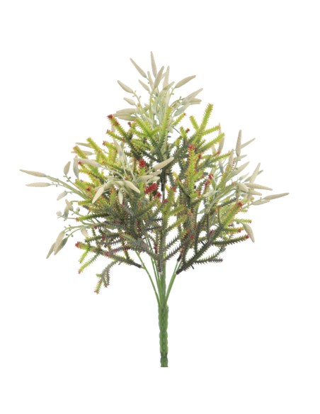 RAMO CHILE (6309-01)