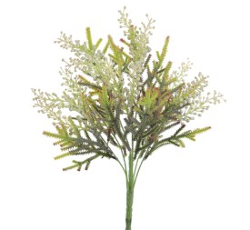 RAMO ACHILEA (6310-01)