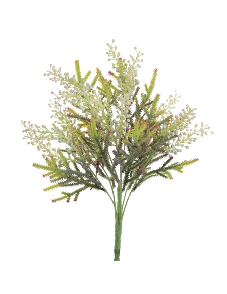 RAMO ACHILEA (6310-01)