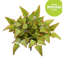 MATA HELECHO OTO¥AL VERDE