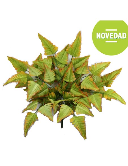 MATA HELECHO OTO¥AL VERDE