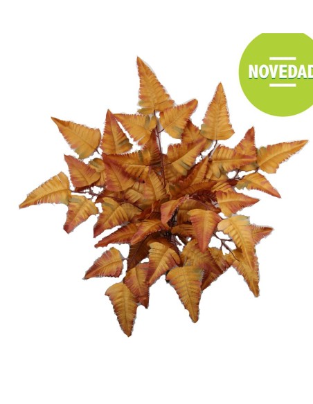 MATA HELECHO OTO¥AL MARRON