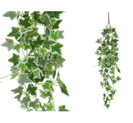 COLGANTE HIEDRA HOLANDESA X 168LVS 110CM