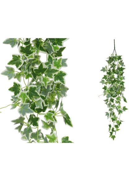 COLGANTE HIEDRA HOLANDESA X 168LVS 110CM