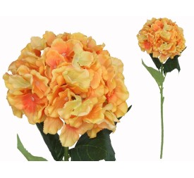 VARA HORTENSIA BIG -77 CM (TE)