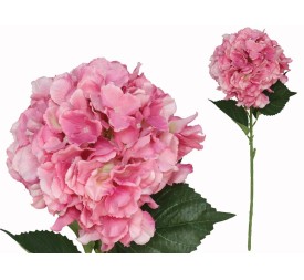 VARA HORTENSIA BIG -77 CM (FUCSIA)