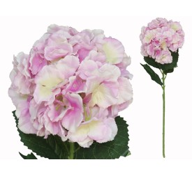 VARA HORTENSIA BIG -77 CM (MALVA)
