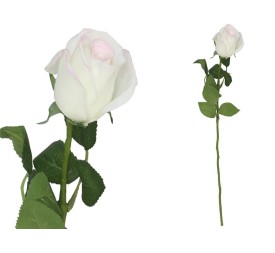 VARA CAPULLO NATURAL R/TOUCH-58CM (CR)