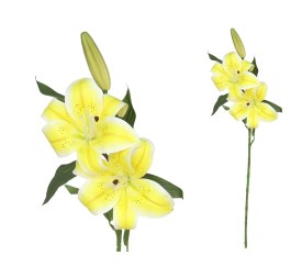 VARA LILIUM R/TOUCH X 3 -70CM (AM)