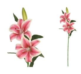 VARA LILIUM R/TOUCH X 3 -70CM (FUCSIA)